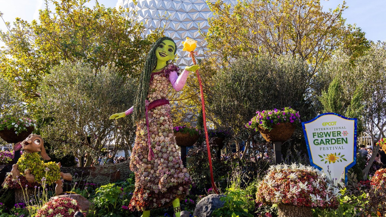 Sabia que o Walt Disney World tem um festival de flores? Na foto, topiaria de Asha, do filme Wish.
