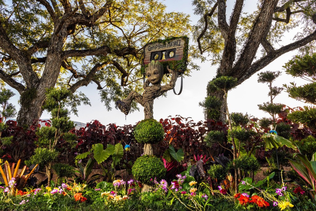 Sabia que o Walt Disney World tem um festival de flores? Na foto, topiaria de Groot, de Guardiões da Galáxia.