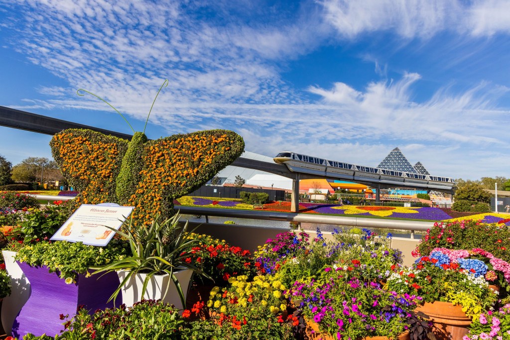 Sabia que o Walt Disney World tem um festival de flores? Na foto, jardim com topiaria de borboleta.