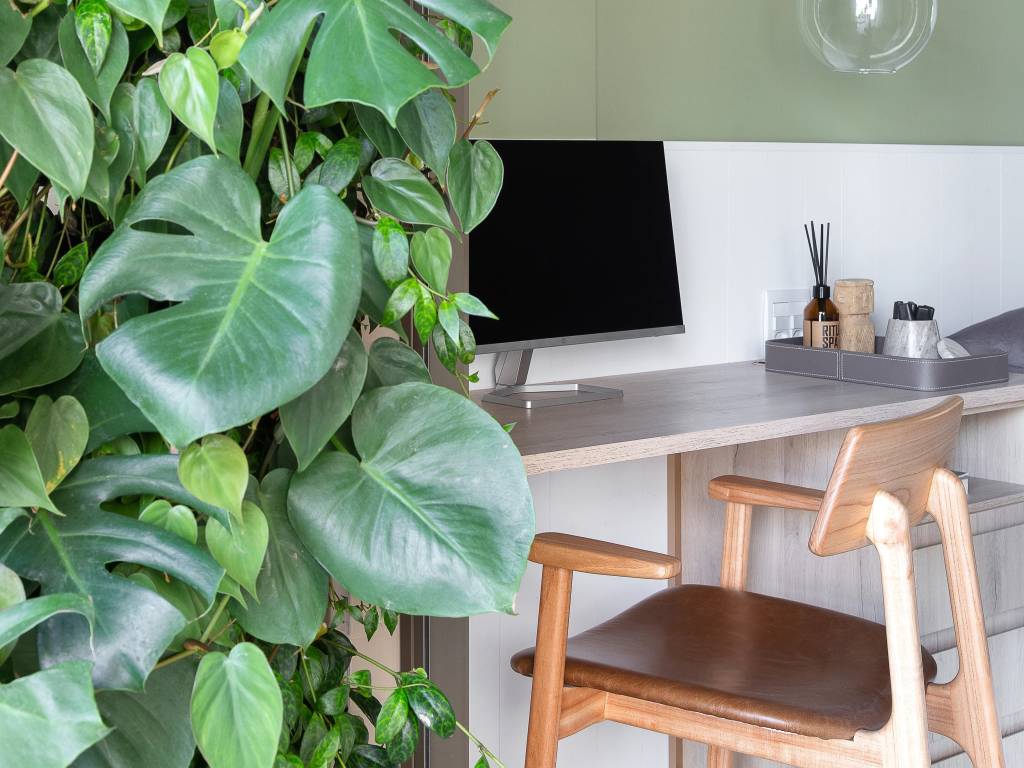 5 plantas para cultivar no home office