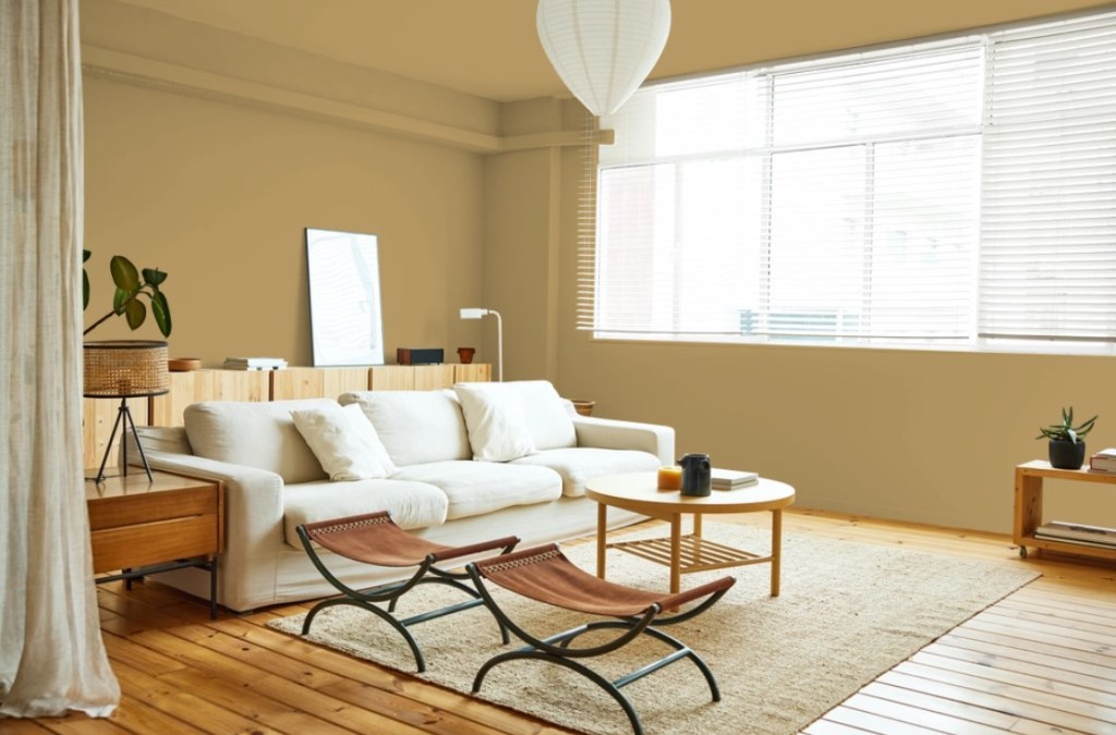 Vira-lata Caramelo vira nova cor de tinta! Na foto, sala de estar, sofá branco.