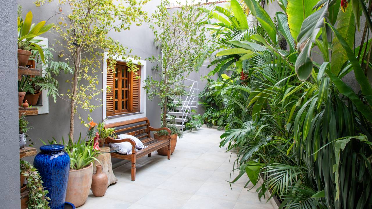 Palmeiras, dracenas, marantas e pacovás compõem esse jardim exuberante. Projeto de Marcilene Monzani Paisagismo.