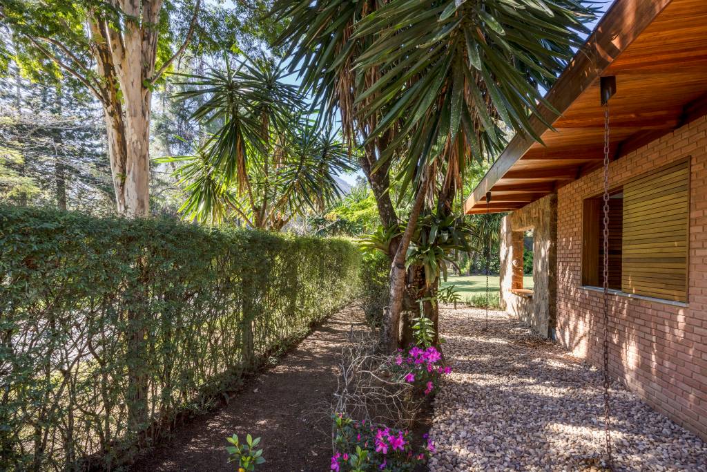 Casa de campo de hóspedes tem teto com madeira de demolição e piso de pedra ardósia. Projeto de Fabiana Cyon e Ana Paula Castro. Na foto, jardim, palmeira;