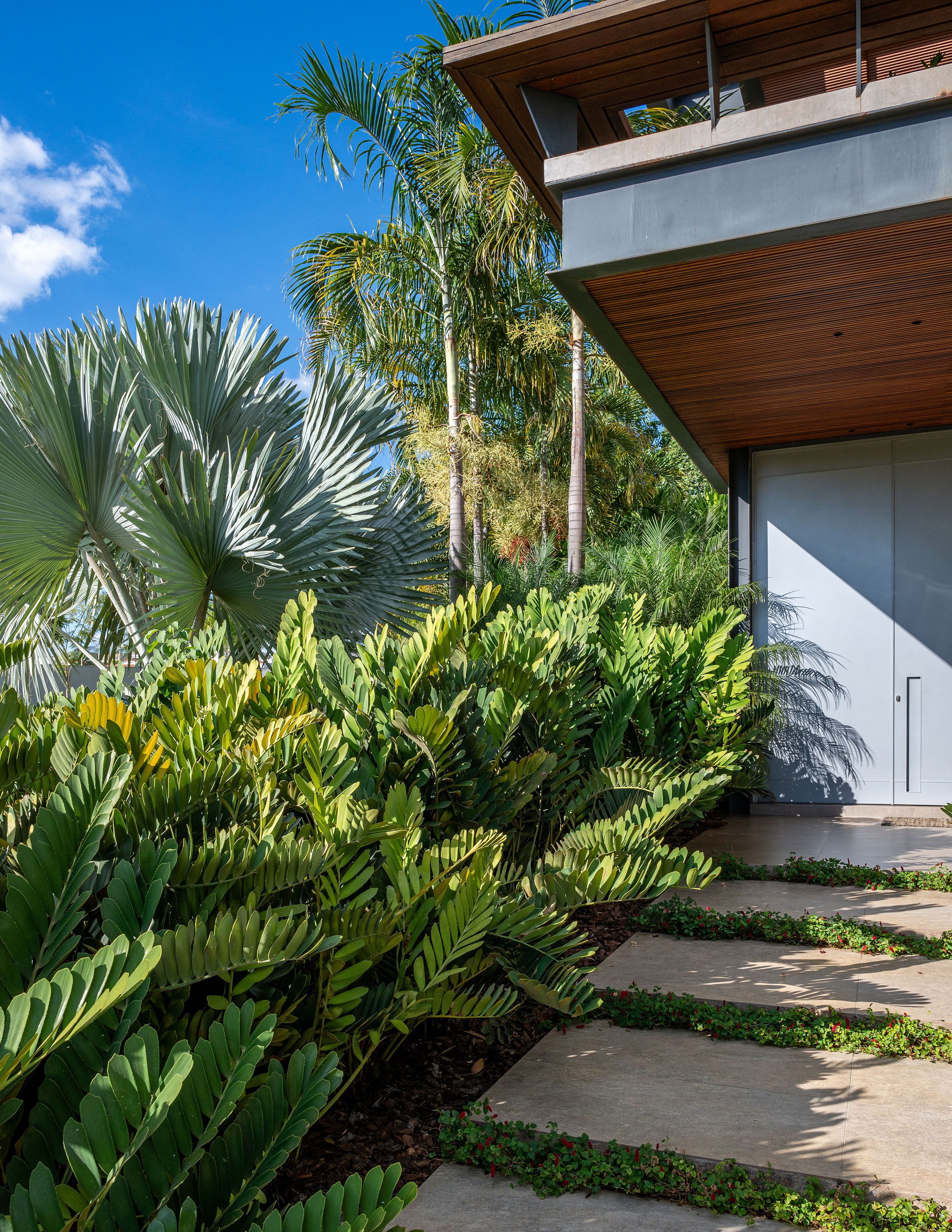 Casa ganha jardim com área para produção de verduras e 47 espécies de plantas. Projeto de paisagismo Flávia D’urso.