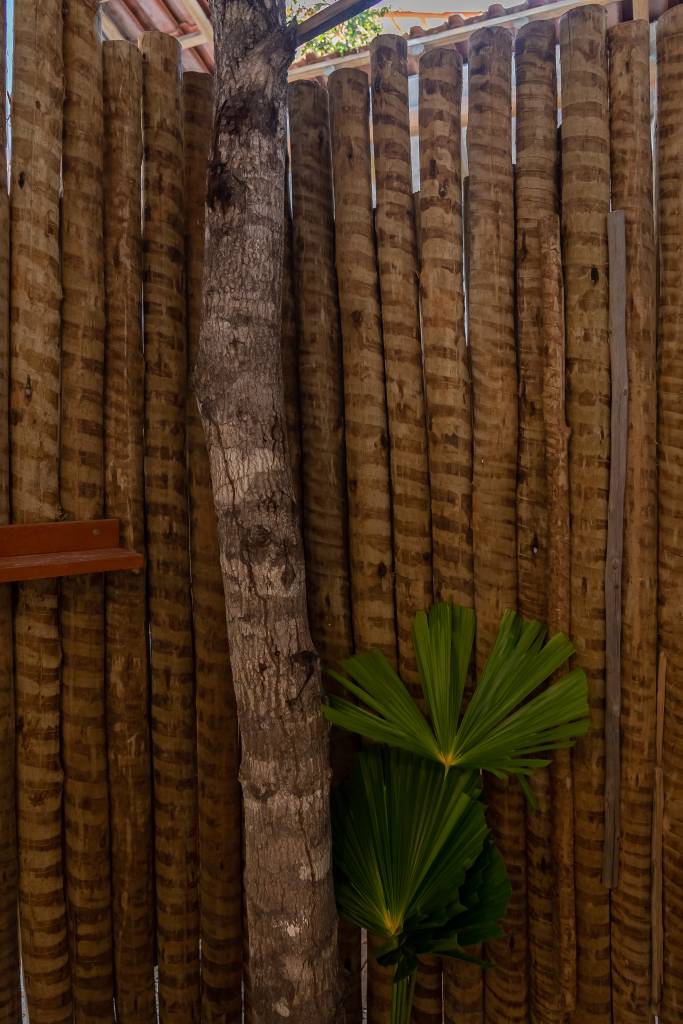 Casa pátio de praia na Bahia foi erguida em torno das árvores. Projeto de Mari Grobério. Na foto, árvore, troncos.