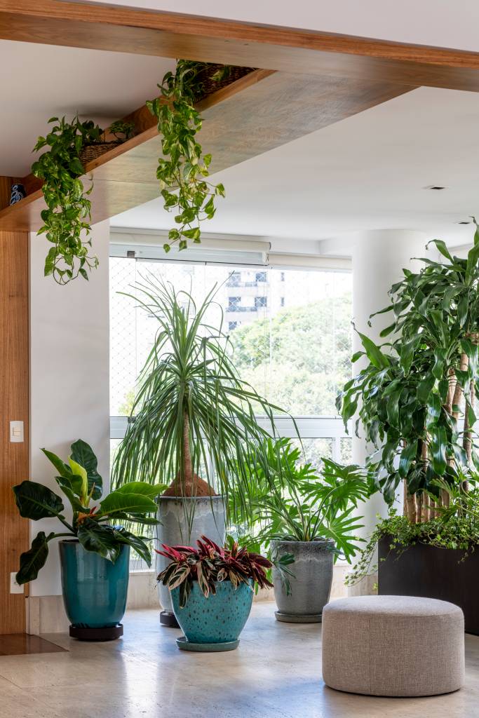 Varanda de apartamento de 236 m² virou urban jungle. Projeto de Vivi Cirello. Na foto, plantas, árvore, folhagens, vasos no piso.