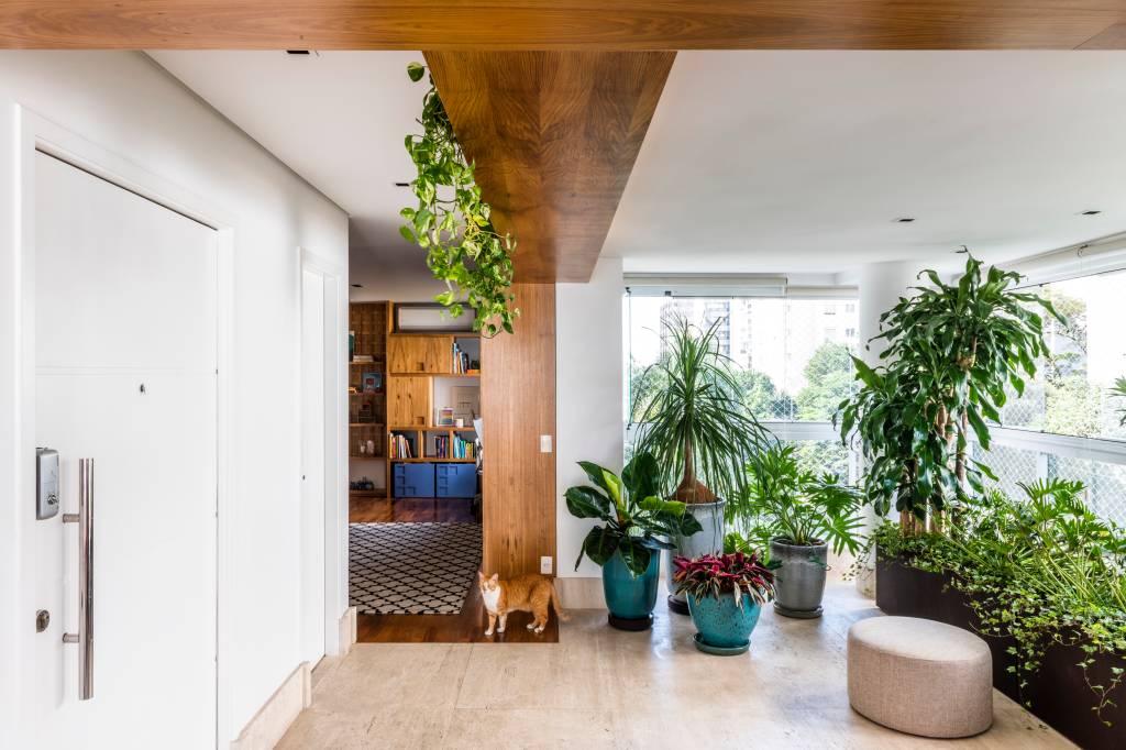 Varanda de apartamento de 236 m² virou urban jungle