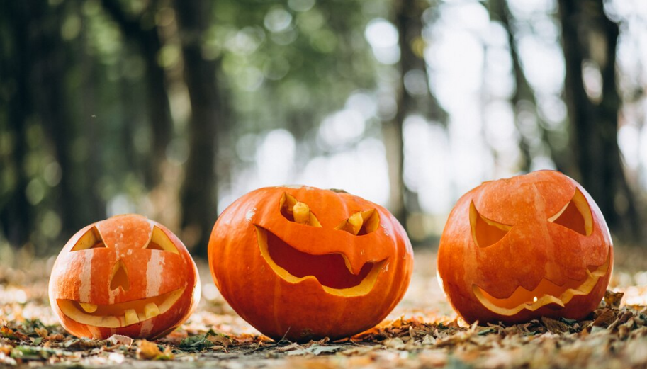 Quatro enfeites com abóboras para decorar seu Halloween