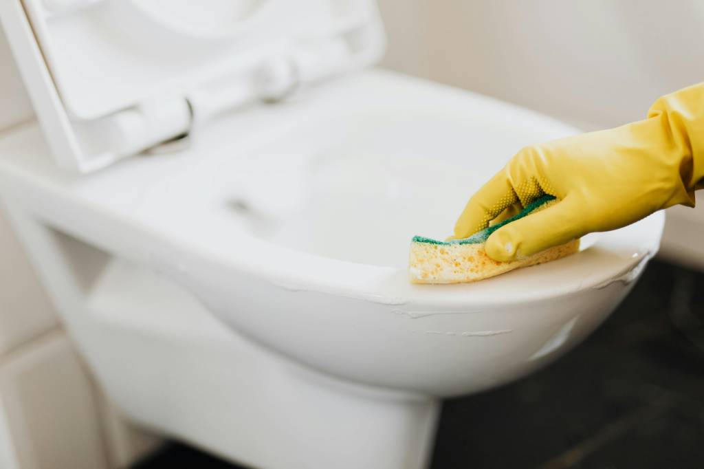 Como evitar que bactérias do vaso contaminem o ambiente