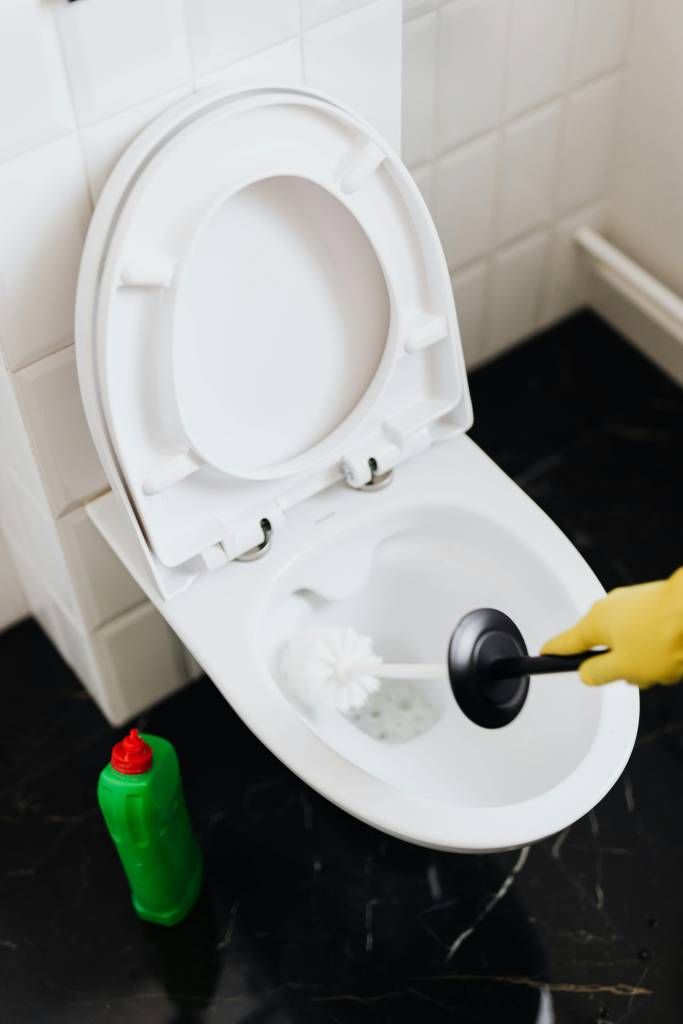Como evitar que bactérias do vaso contaminem o ambiente