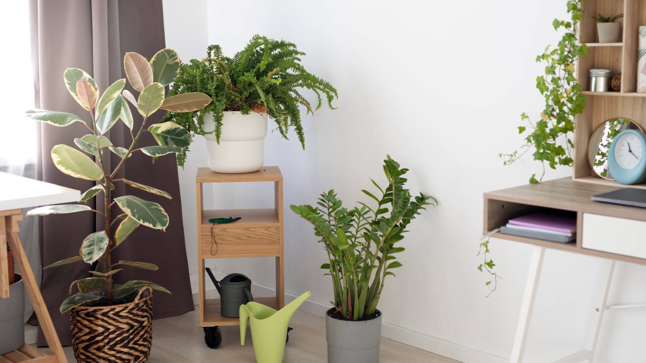 Quarto com plantas;