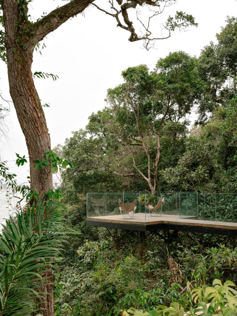 Casa envolta pela Mata Atlântica tem estrutura em madeira laminada colada. Projeto de Patricia Martinez Arquitetura.