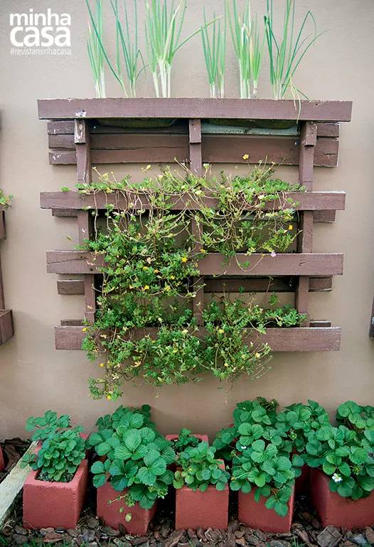 Horta em casa: jardim foi criado com blocos de concreto