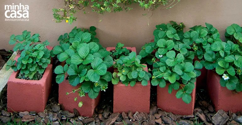 Horta em casa: jardim foi criado com blocos de concreto