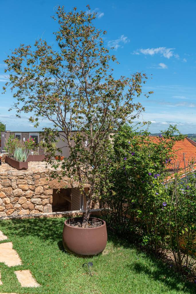 Jardim tem lindo caminho de pedras emoldurado por lavandas e gerânios. Projeto de paisagismo de Renata Guastelli.