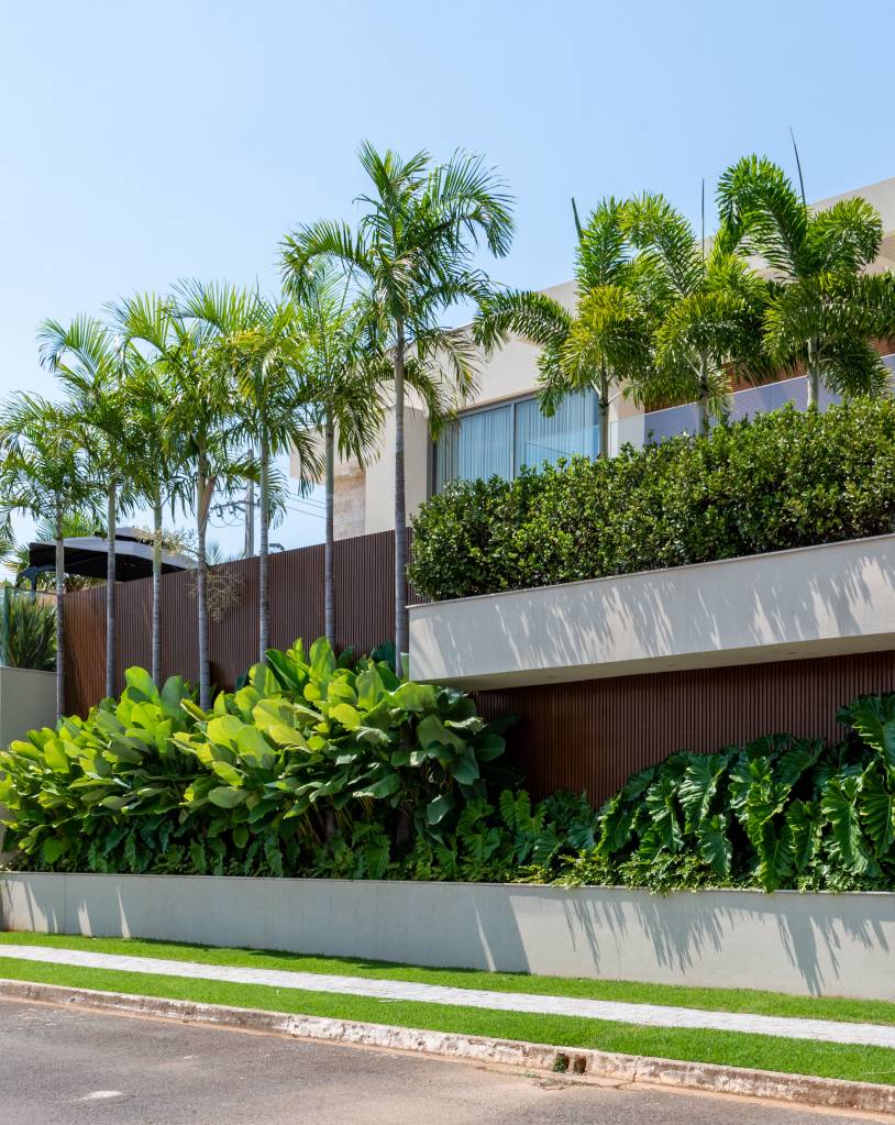 Palmeiras abraçam fachada e piscina nesta casa com paisagismo tropical. Paisagismo de Flávia D’urso.