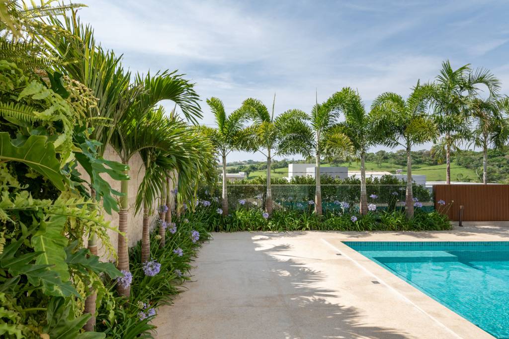Palmeiras abraçam fachada e piscina nesta casa com paisagismo tropical. Paisagismo de Flávia D’urso.