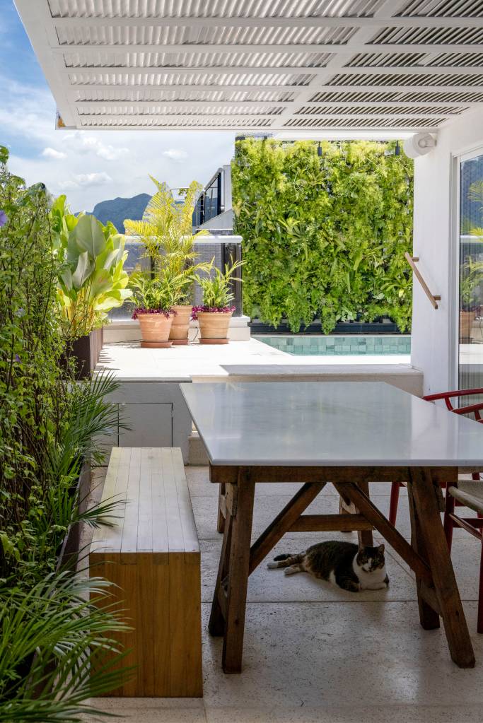 Jardins verticais, divisórias de alumínio e jardineiras trazem privacidade a terraço. Projeto de Migs Arquitetura com paisagismo de Anna Luiza Rothier.