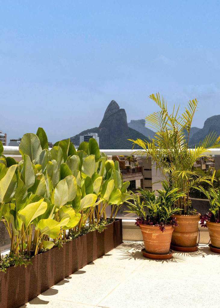 Jardins verticais, divisórias de alumínio e jardineiras trazem privacidade a terraço. Projeto de Migs Arquitetura com paisagismo de Anna Luiza Rothier.