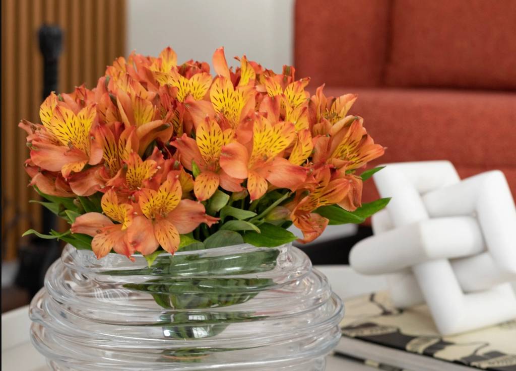 6 flores alaranjadas para alegrar sua casa