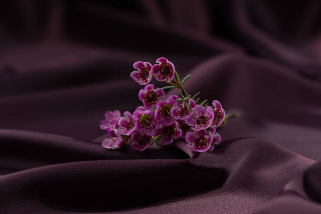 Dia das Mães: descubra quais são as flores populares pelo mundo para presentear