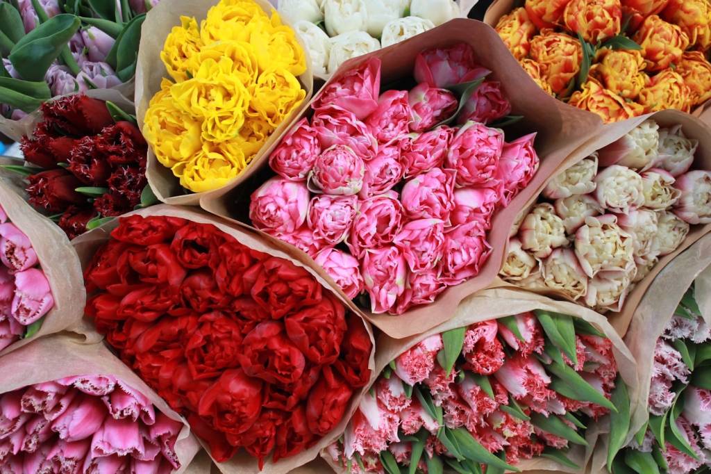 Dia das Mães: descubra quais são as flores populares pelo mundo para presentear