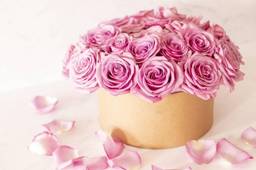 Dia das Mães: veja qual é a flor perfeita para cada tipo de mãe! Rosa