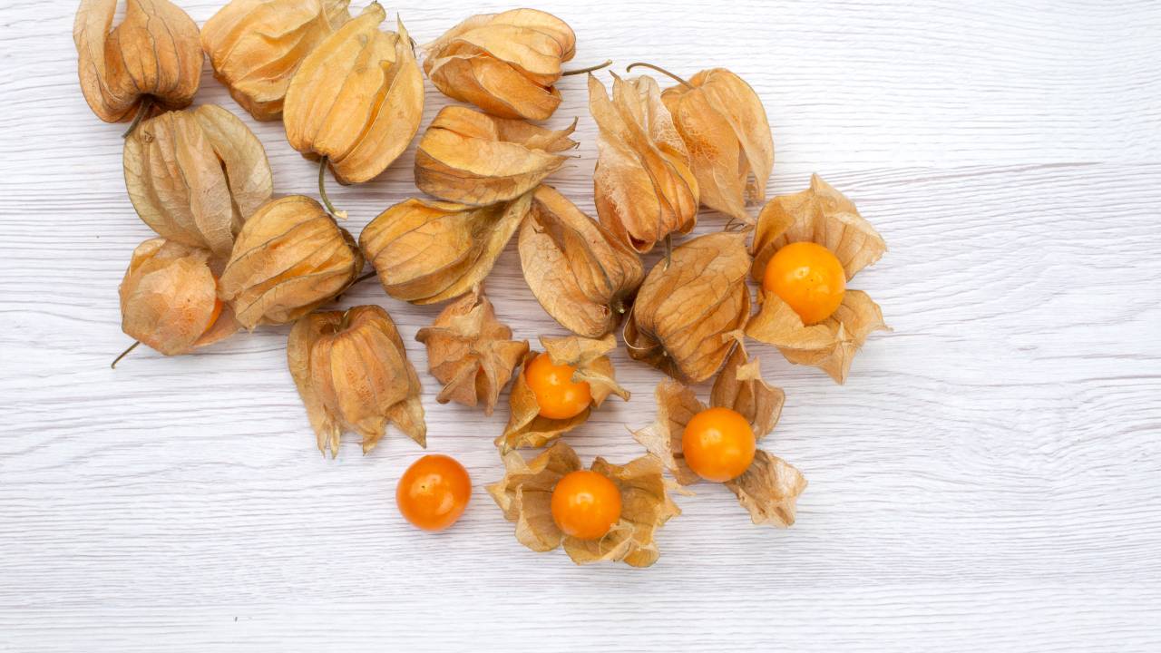 Physalis: descubra os benefícios e três receitas com essa fruta exótica