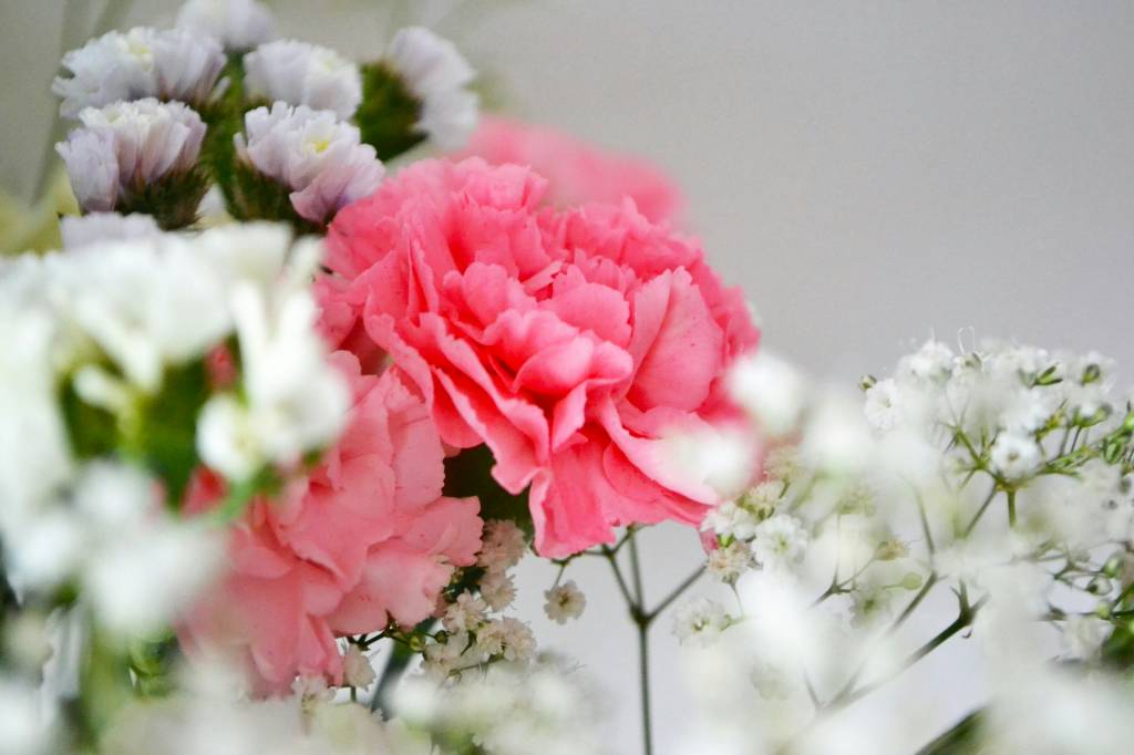Dia dos Namorados: veja quais são as flores tendência no mundo