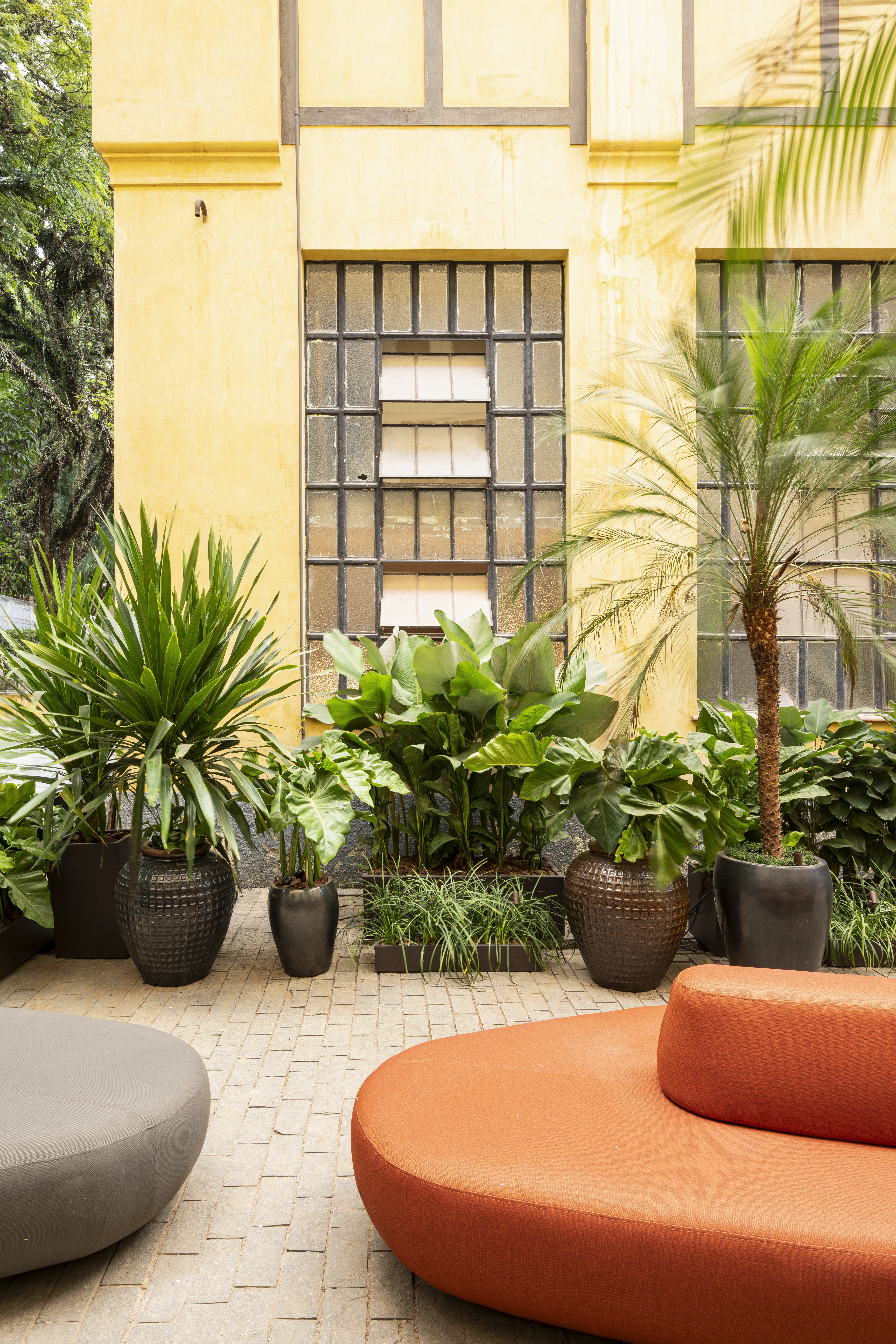 Jardim sem flores da CASACOR SP aposta em espécies com folhagens marcantes. Projeto de Catê Poli e João Jadão.