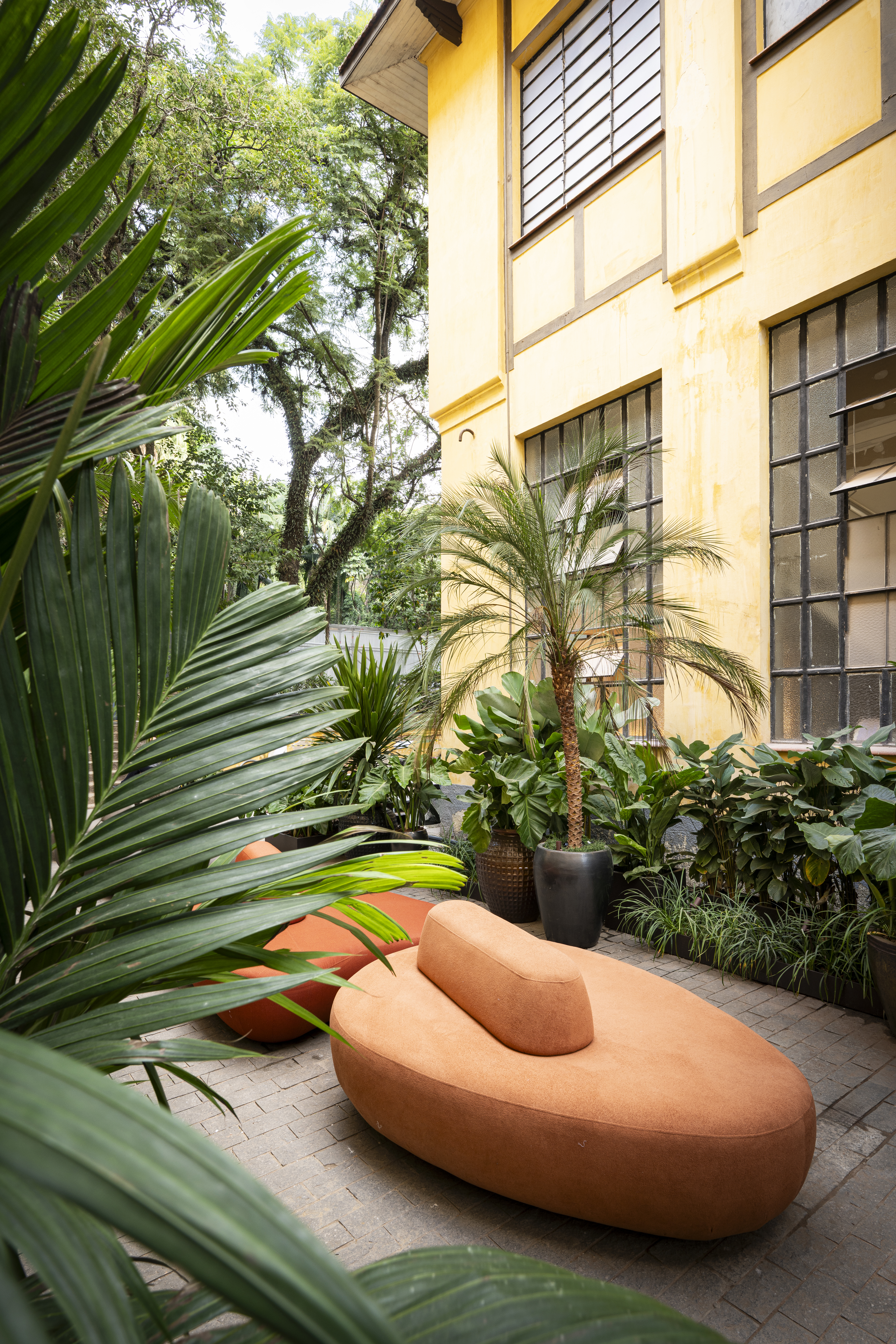 Jardim sem flores da CASACOR SP aposta em espécies com folhagens marcantes. Projeto de Catê Poli e João Jadão.