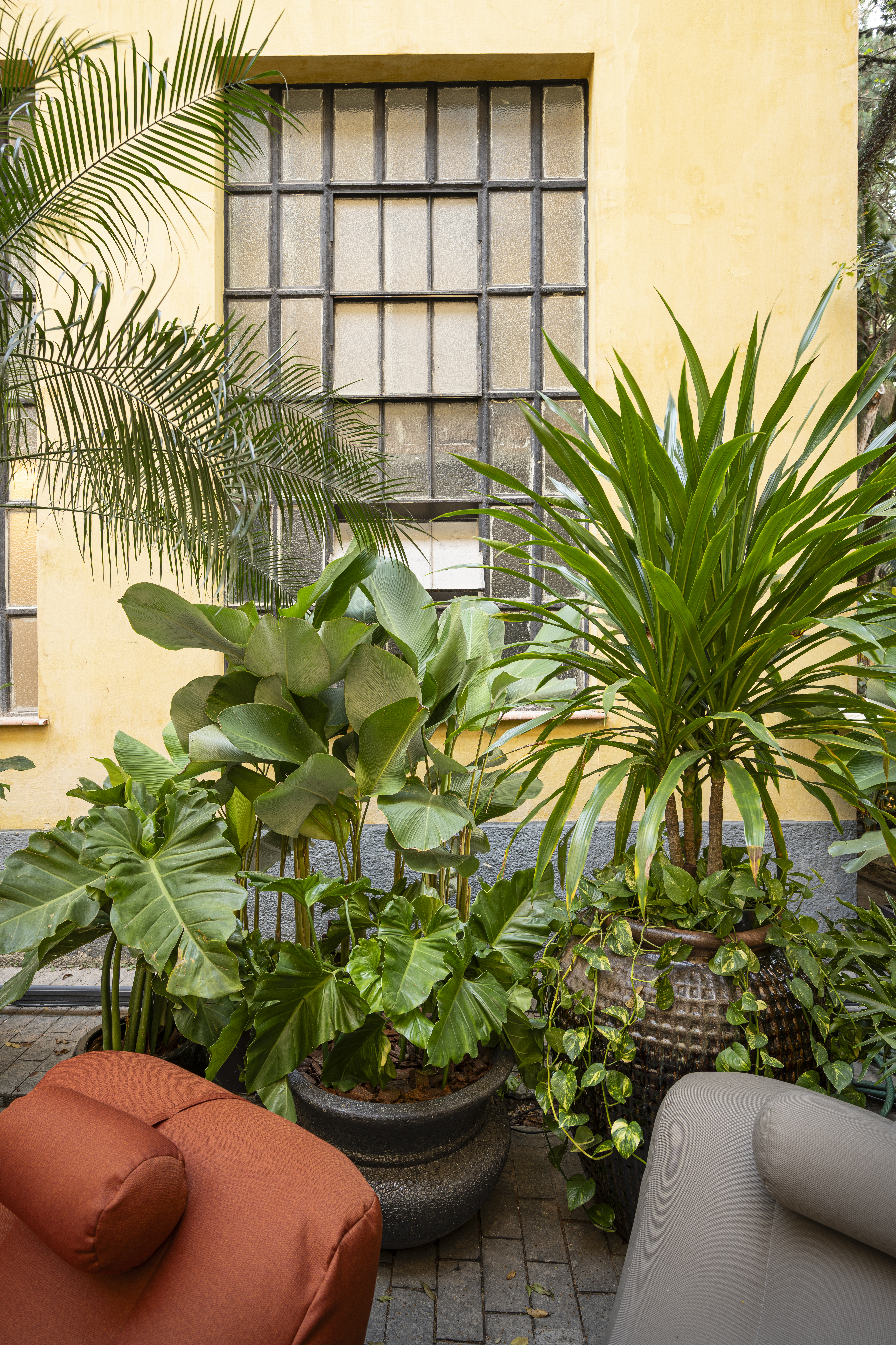 Jardim sem flores da CASACOR SP aposta em espécies com folhagens marcantes. Projeto de Catê Poli e João Jadão.