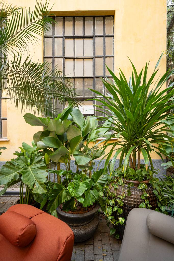 Jardim sem flores da CASACOR SP aposta em espécies com folhagens marcantes. Projeto de Catê Poli e João Jadão.