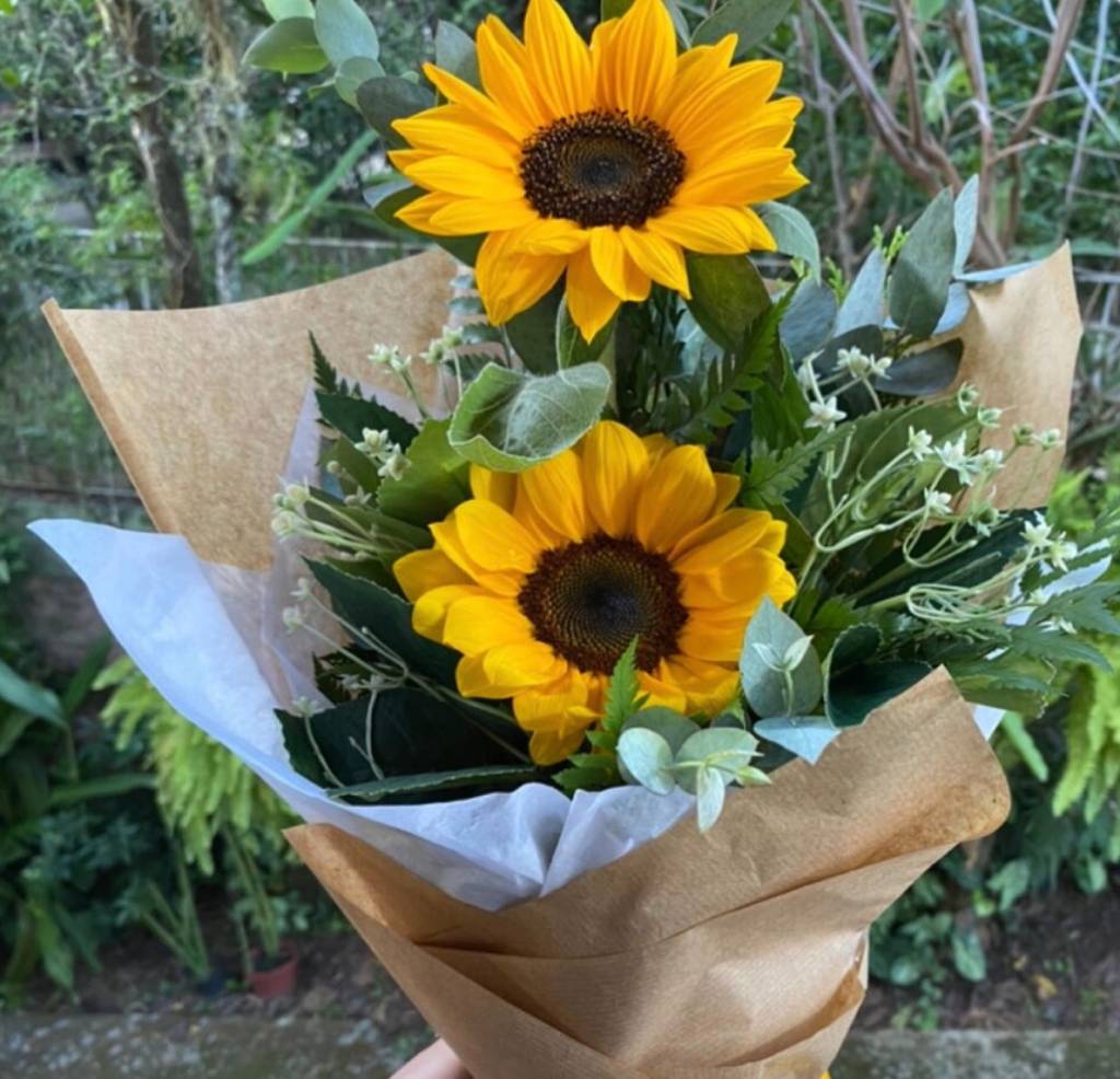 Começo de namoro, reconciliação, agradecimento? Veja qual é a flor certa para cada um