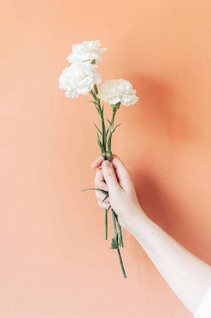 Começo de namoro, reconciliação, agradecimento? Veja qual é a flor certa para cada um