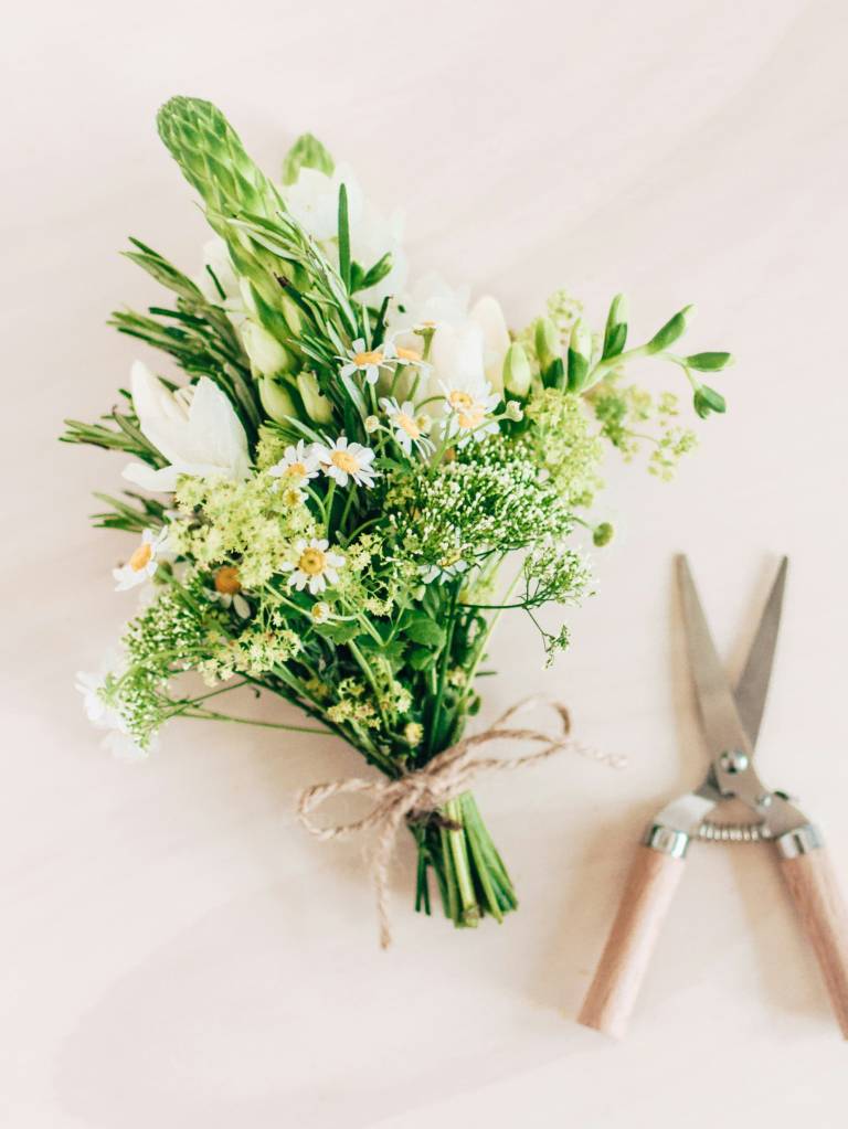 Começo de namoro, reconciliação, agradecimento? Veja qual é a flor certa para cada um