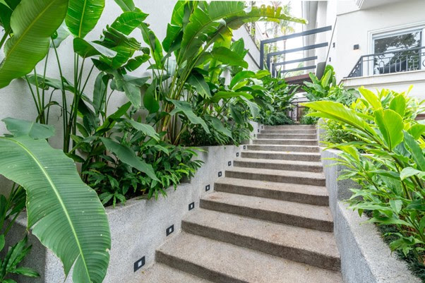 especies-tropicais-sao-destaques-em-projeto-de-paisagismo-para-casa-em-sao-paulo_3 Espécies tropicais são destaques em projeto de paisagismo para casa em São Paulo Projeto do paisagista Luciano Zanardo valoriza as áreas externas com soluções inteligentes e conexão total com o interior dos ambientes.