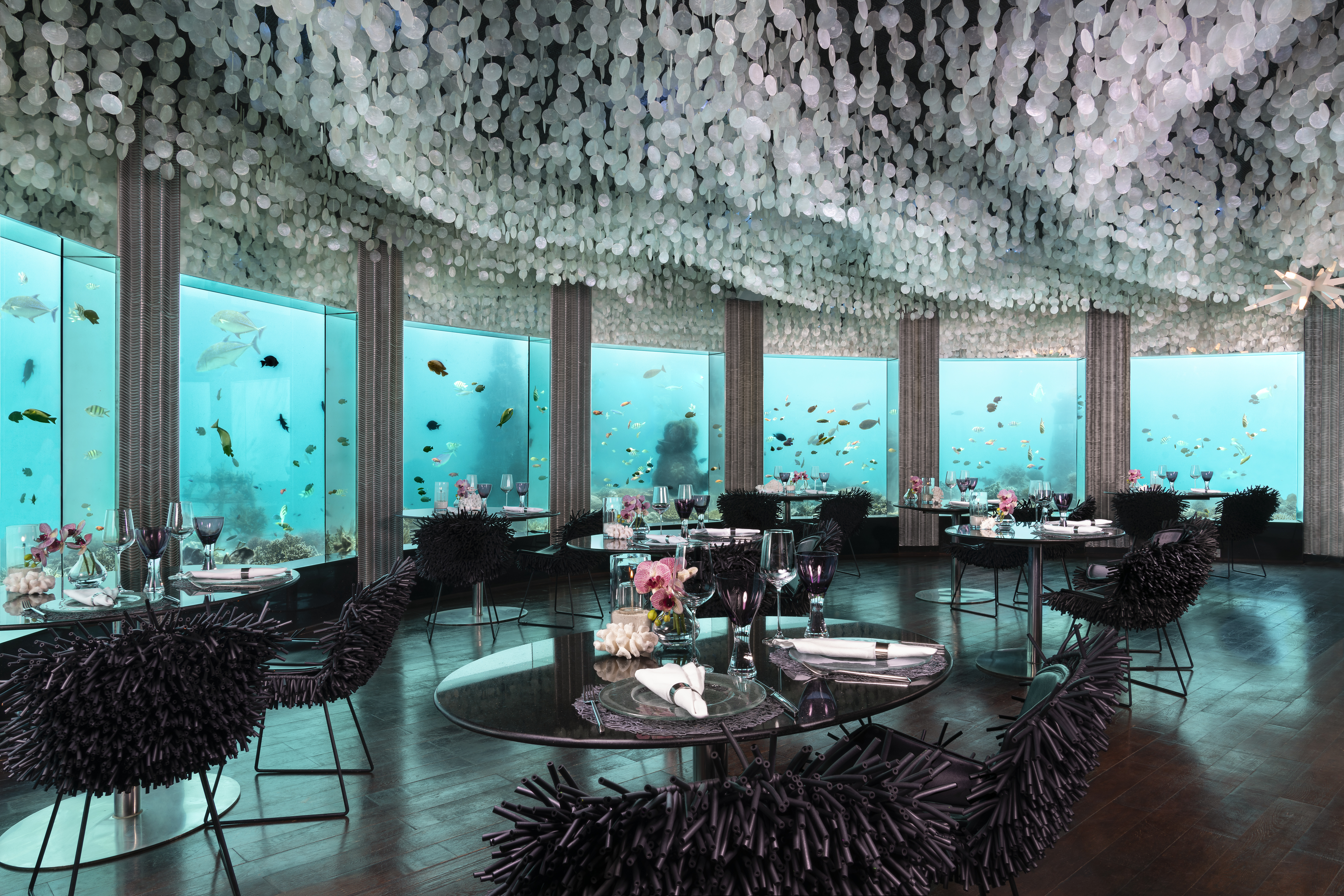 Hotel nas Maldivas tem restaurante seis metros abaixo do nível do mar!