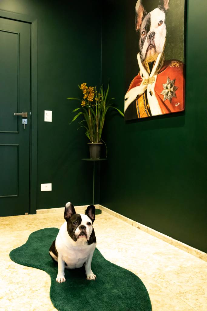 Apê tem hall de entrada verde criado em homenagem ao bulldog da família. Projeto de Daniel Szego.