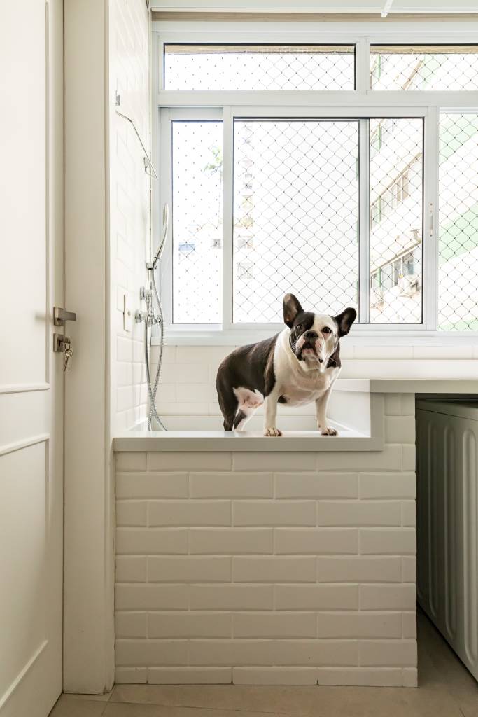 Apê tem hall de entrada verde criado em homenagem ao bulldog da família. Projeto de Daniel Szego.
