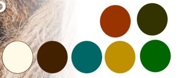 Combinação de azul e tons terrosos são as tendências da Cores do Ano 2026