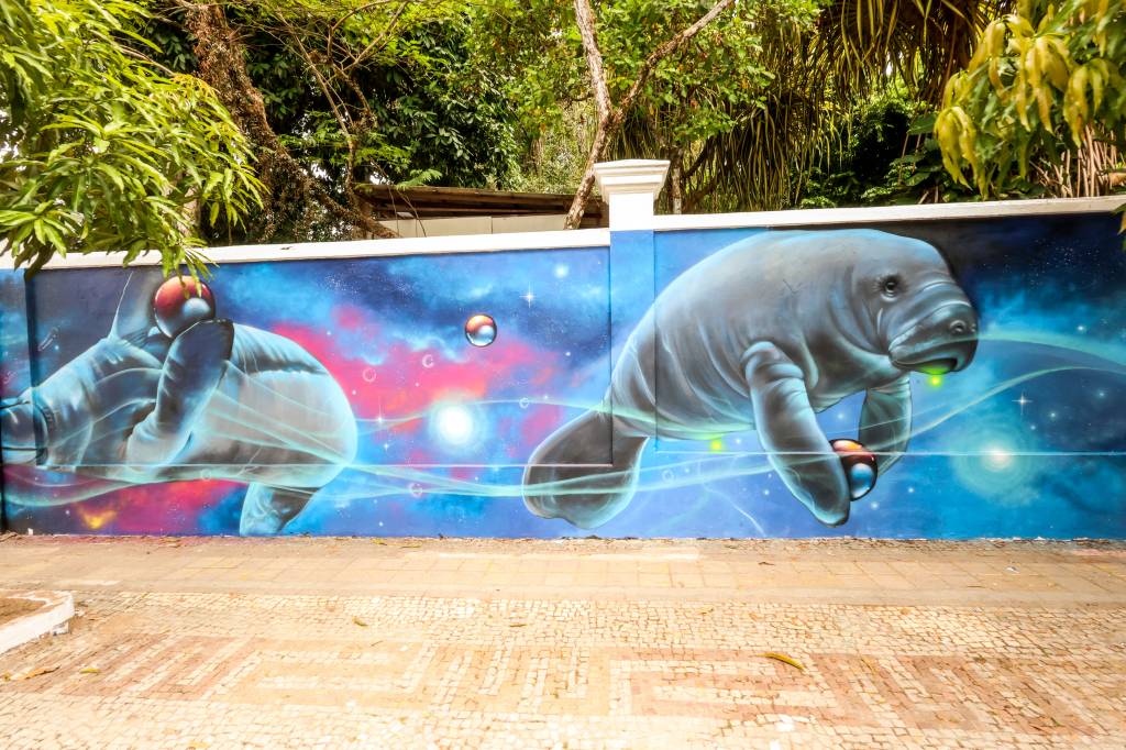 alessandro-hipz-foto-bruno-carachesti-02 20 artistas pintam a nova fachada do Museu de Arte Urbana de Belém