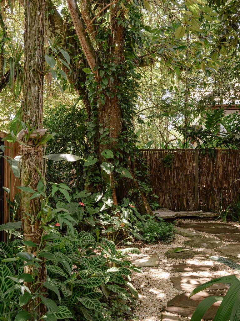 casa-na-mata-tem-paisagismo-composto-por-mosaico-de-plantas-nativas-jundu-paisagismo-05 Casa na Mata tem paisagismo composto por mosaico de plantas nativas. Projeto de Jundu Paisagismo.