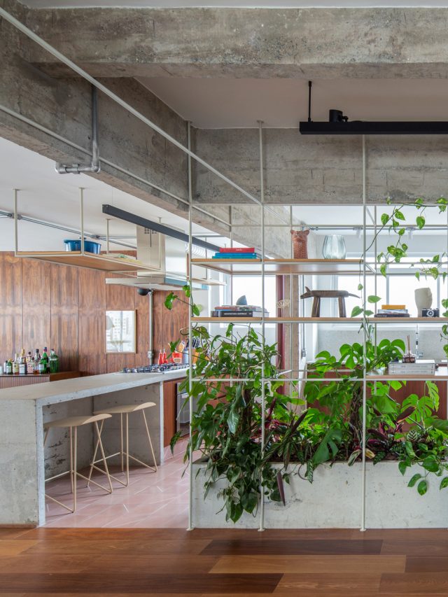 Capa de: Neste apê, estante é divisória e floreira com jiboias e costelas-de-adão