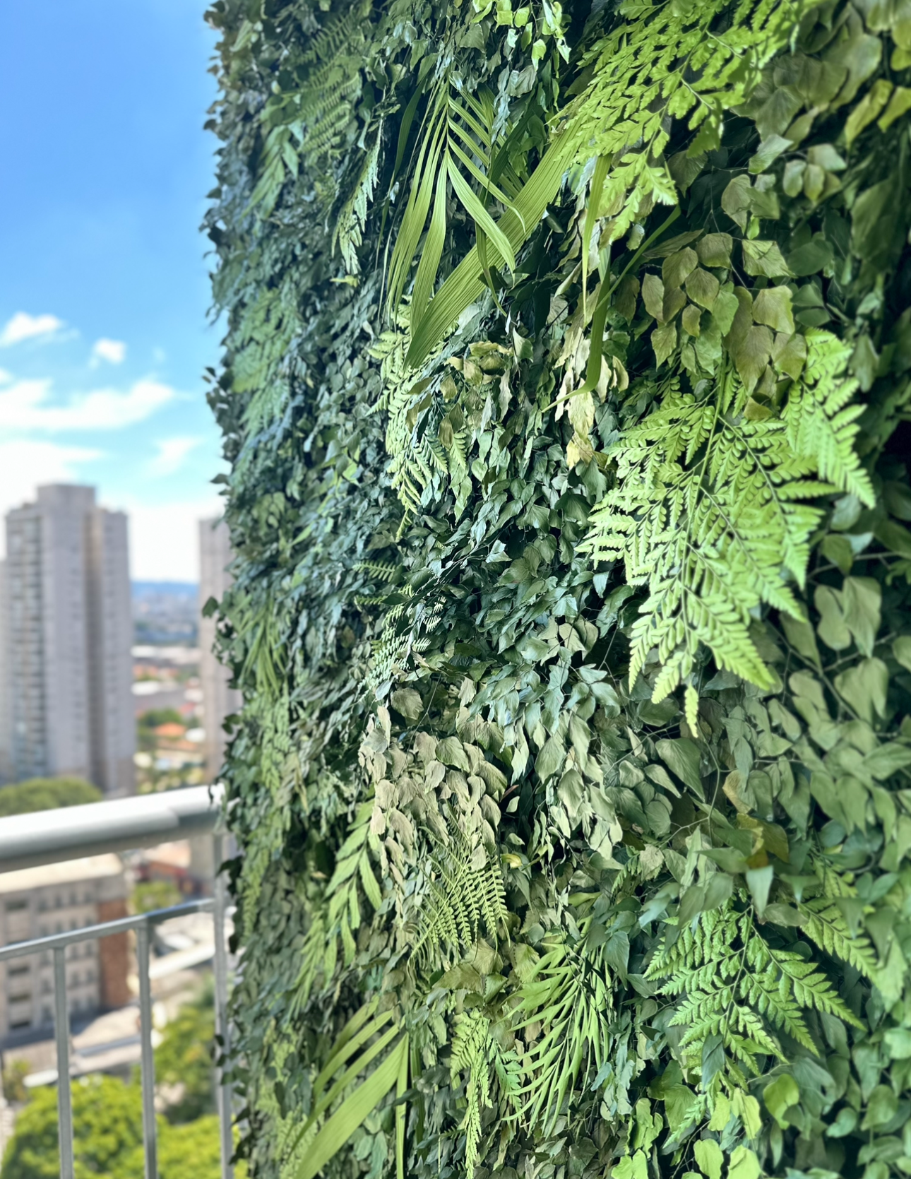 Plantas preservadas: 7 dúvidas respondidas e por que elas são uma boa opção