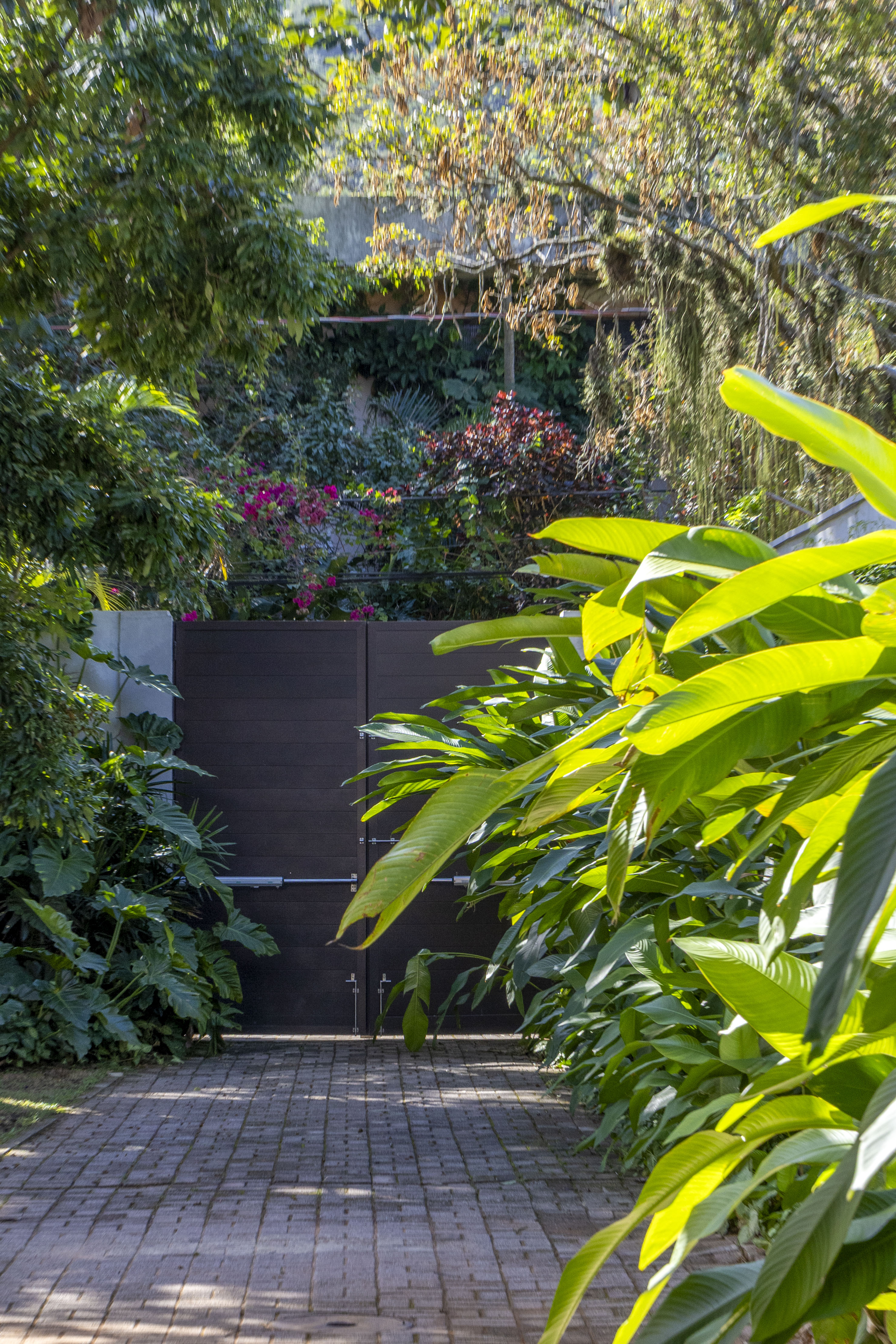 A transformação de um jardim tropical: conheça o projeto de paisagismo no Itanhangá. Projeto de Horto Girassol.