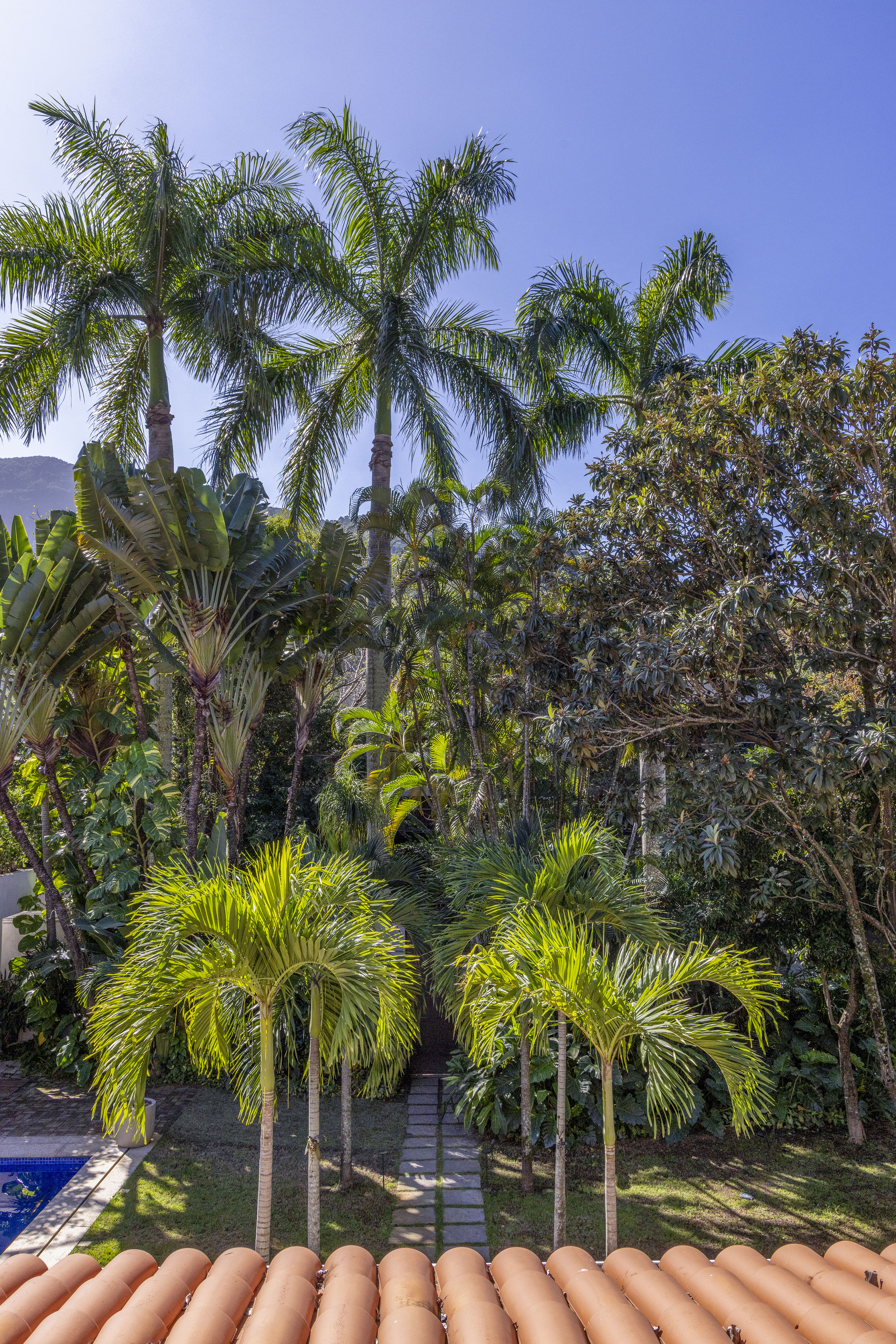 A transformação de um jardim tropical: conheça o projeto de paisagismo no Itanhangá. Projeto de Horto Girassol.