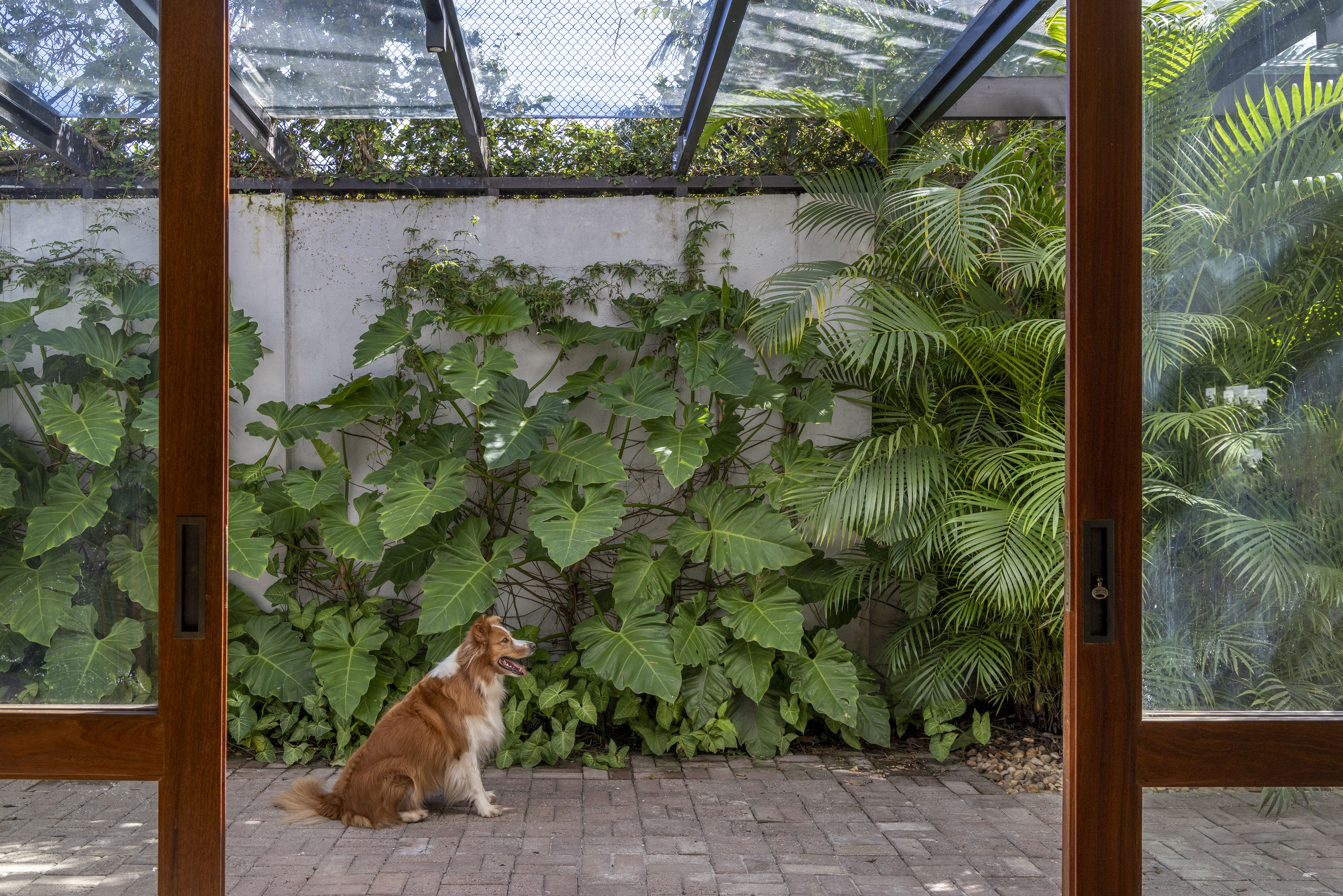 A transformação de um jardim tropical: conheça o projeto de paisagismo no Itanhangá. Projeto de Horto Girassol.