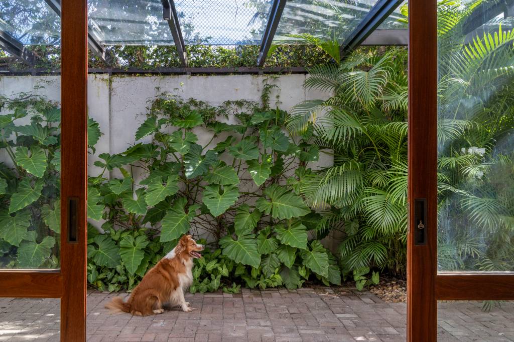 A transformação de um jardim tropical: conheça o projeto de paisagismo no Itanhangá. Projeto de Horto Girassol.