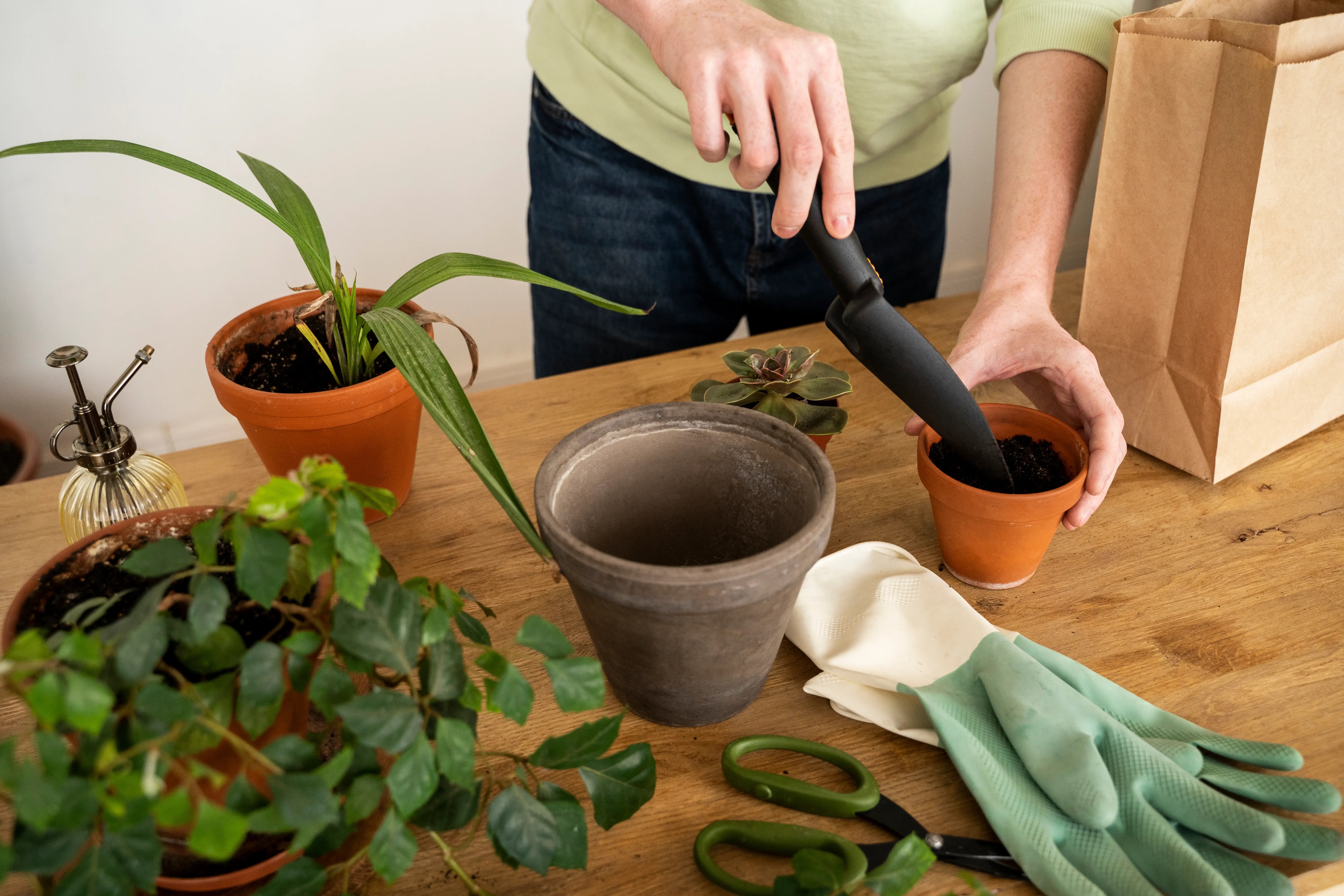 Pessoa em camisa verde e jeans usando uma pá para colocar terra em um vaso de argila pequeno, sobre uma mesa de madeira com plantas, luvas de jardinagem, tesoura e um saco de papel ao lado